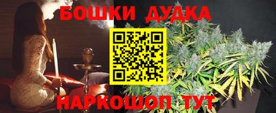 бошки Новодвинск