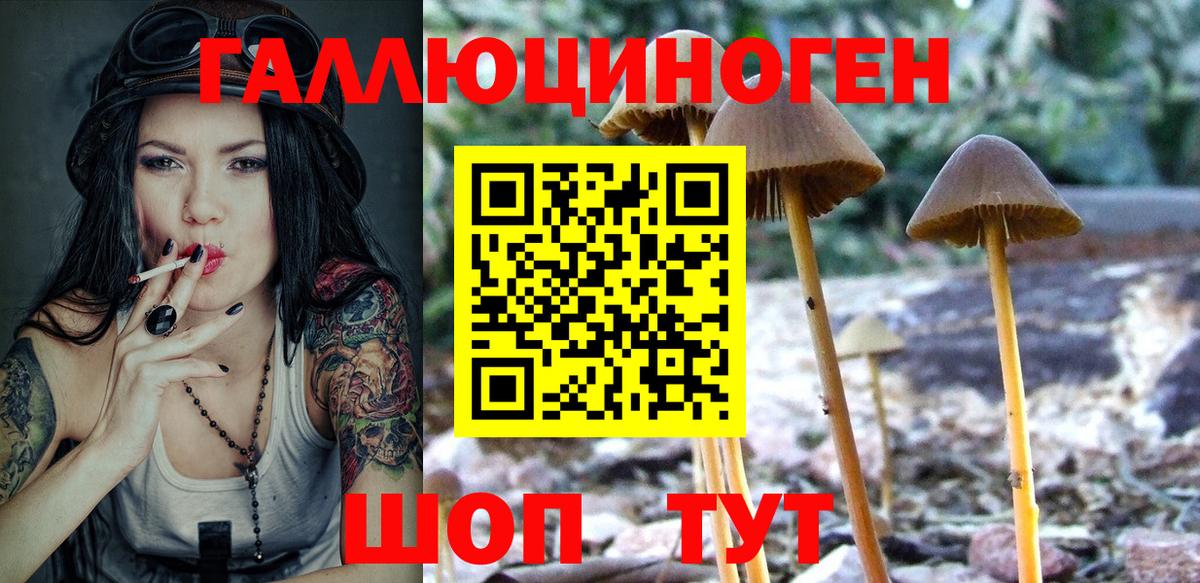 Псилоцибиновые грибы мухоморы Чусовой